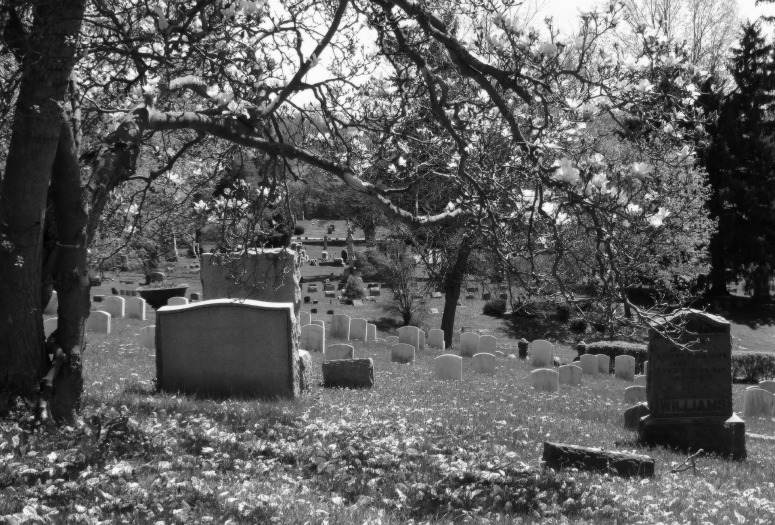 cemetery-987155_1920